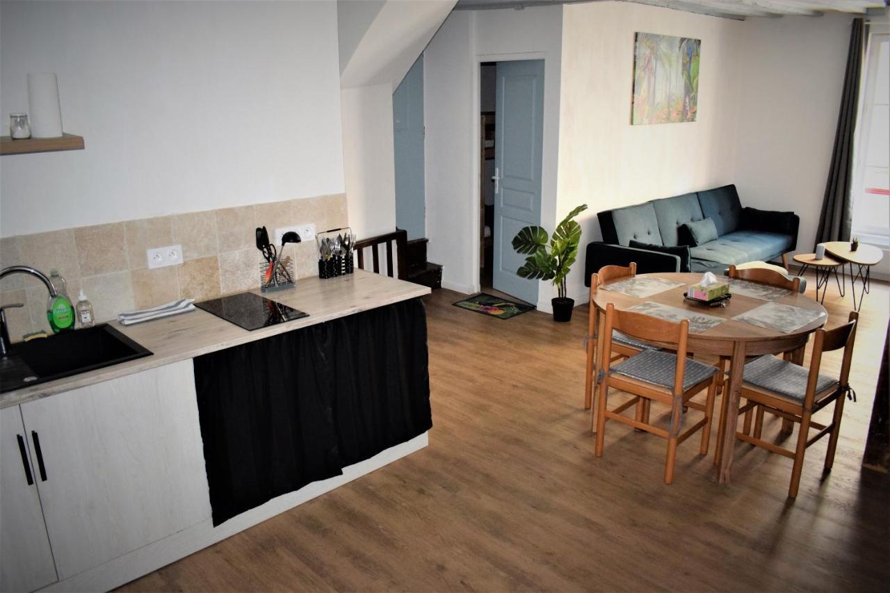 Gite Le Nid Des Zoo Zio, 5Mn Beauval, Appartement Terrasse Centre-Ville Saint-Aignan  Bagian luar foto