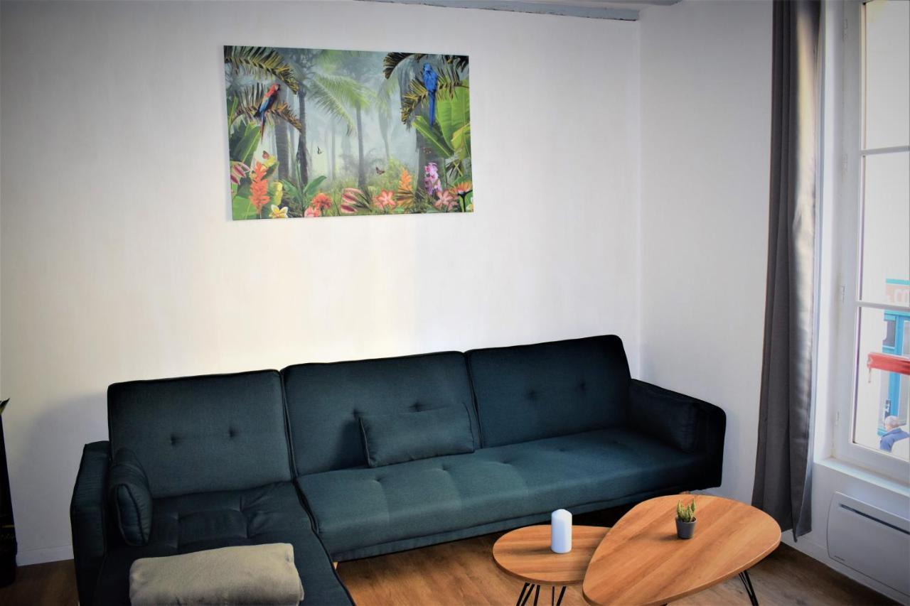 Gite Le Nid Des Zoo Zio, 5Mn Beauval, Appartement Terrasse Centre-Ville Saint-Aignan  Bagian luar foto