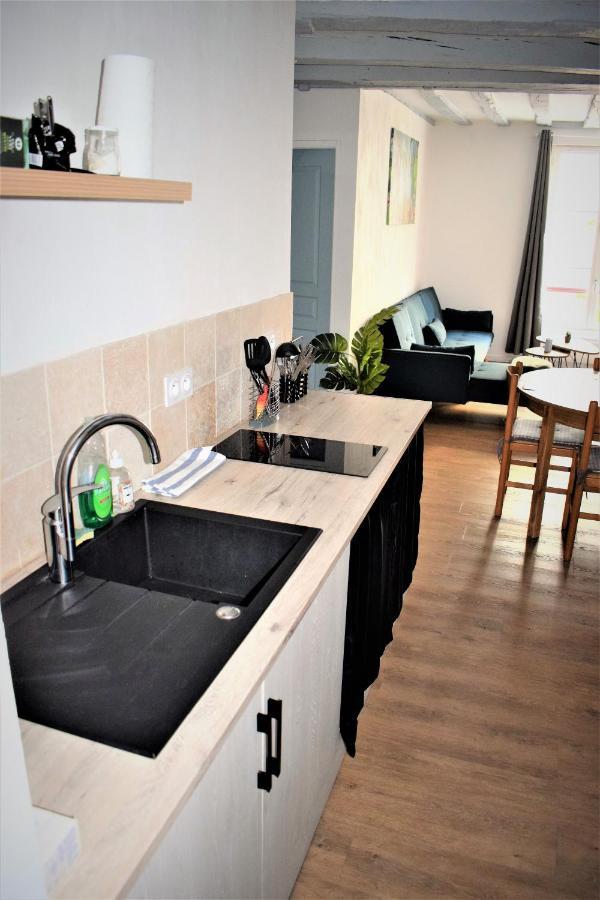 Gite Le Nid Des Zoo Zio, 5Mn Beauval, Appartement Terrasse Centre-Ville Saint-Aignan  Bagian luar foto