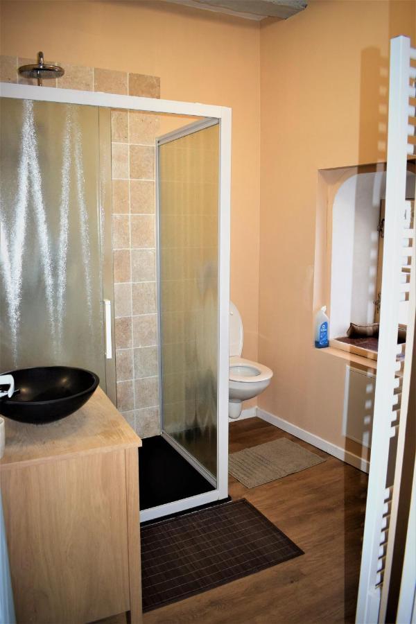 Gite Le Nid Des Zoo Zio, 5Mn Beauval, Appartement Terrasse Centre-Ville Saint-Aignan  Bagian luar foto